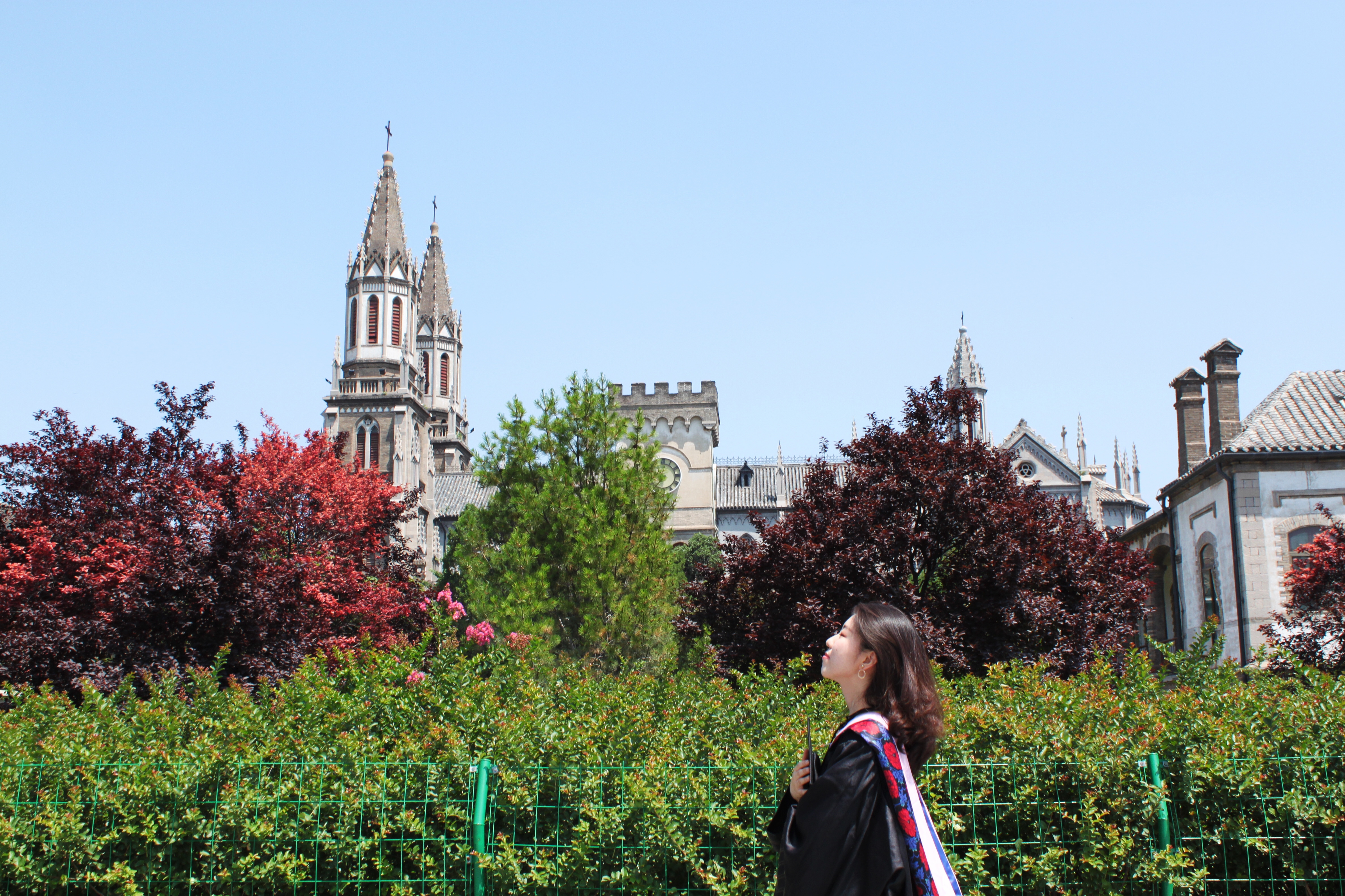 洪家楼校区-山大文化网